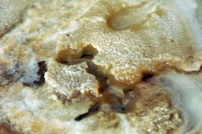 _DSC0006a.jpg