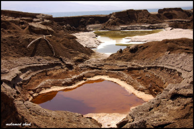 save the dead sea