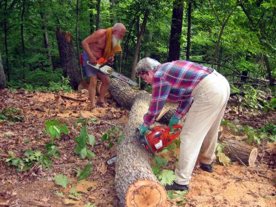 another firewood cutting project