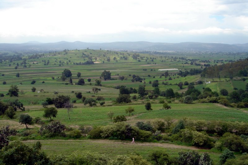 Cacaxtla vista hacia el norte 2 de 2