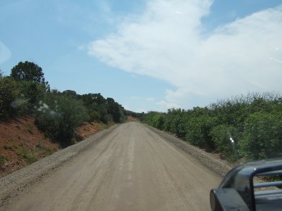 july 10a 302.JPG
