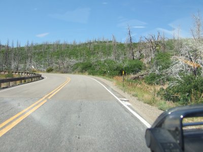 july142007 022.JPG