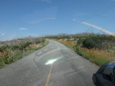 july142007 030.JPG