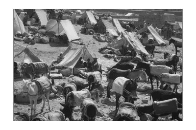 Maroc 1985