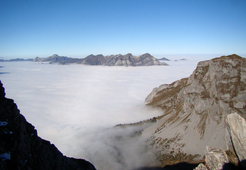 Nebelmeer / sea of fog