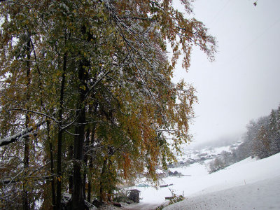 Blick auf Ennenda