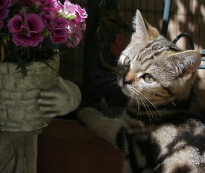 g1/49/60549/3/125471367.Qx4fPRWS.jpg