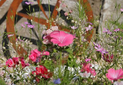 Blumenwiese in Mollis