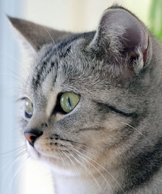 Lucy
