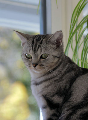 Lucy