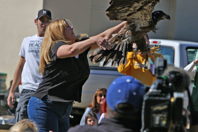 eaglerelease0097.jpg