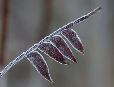 1045