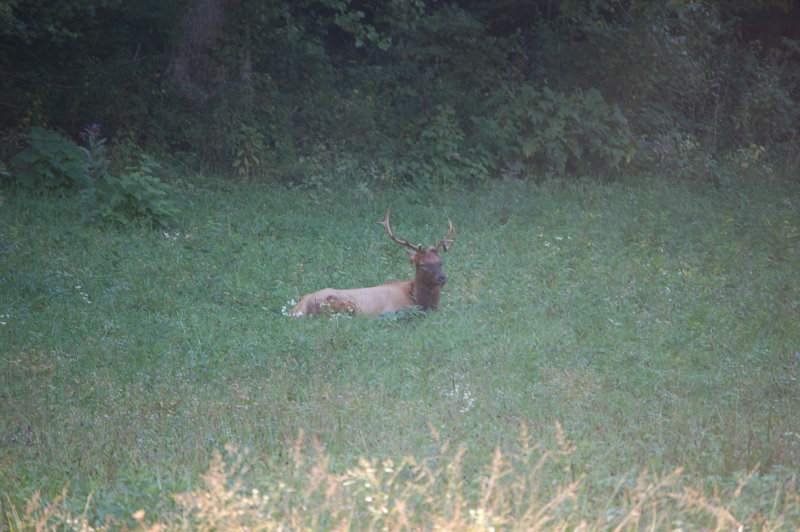 DSC_7210.JPG