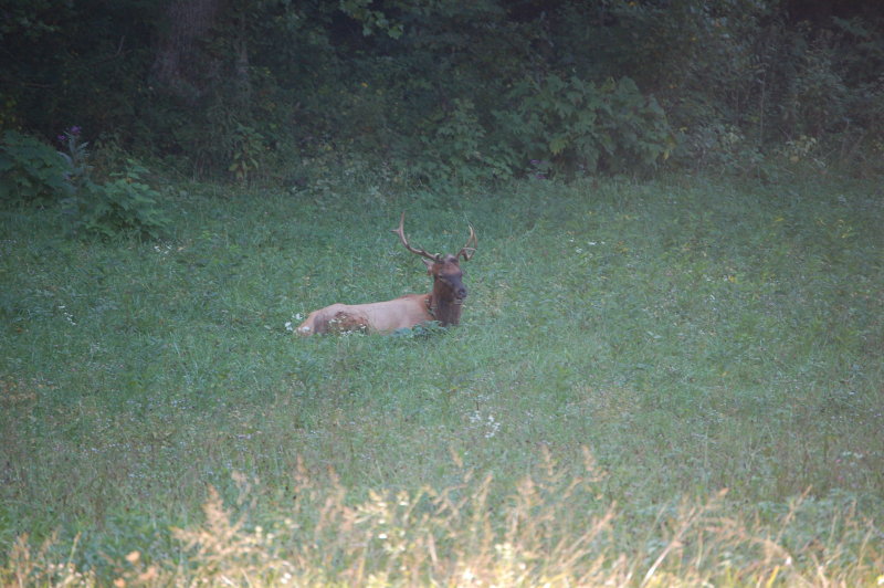 DSC_7211.JPG