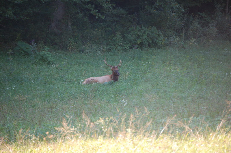DSC_7212.JPG