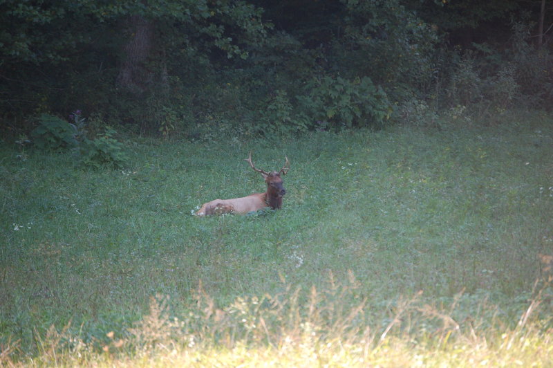 DSC_7213.JPG