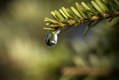 goutte d'eau