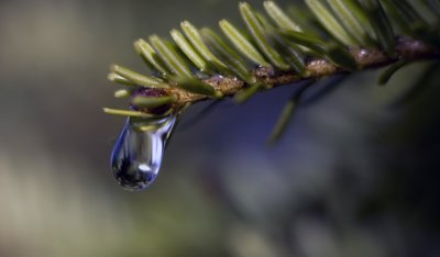 goutte d'eau