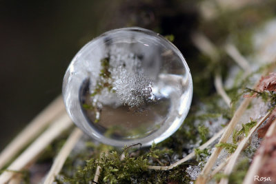 Goutte glace