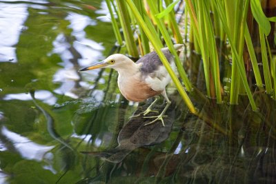 J'attends le poisson.....