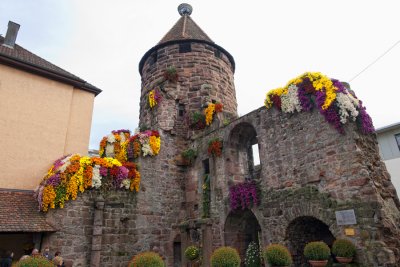 La tour des cigognes