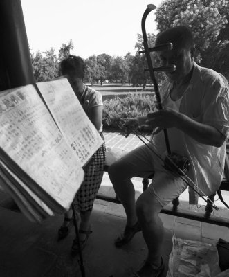 Erhu musician in the park