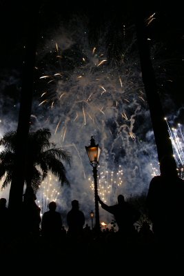 People watching the fireworks