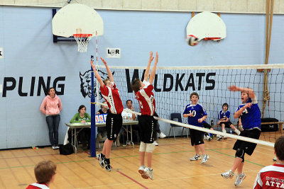 g1/49/682949/3/107047698.sB9Pus0A.jpg
