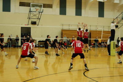 g1/49/682949/3/109564209.yxI1aTJp.jpg