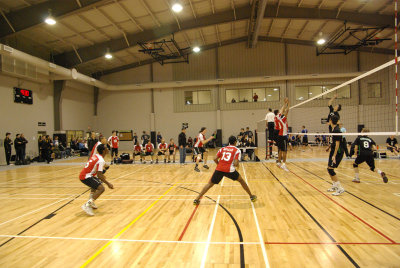 IMGP7176.jpg