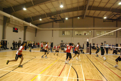 IMGP7180.jpg
