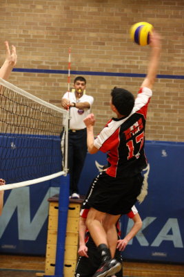 DA_B15uB_15uCC_0063.JPG