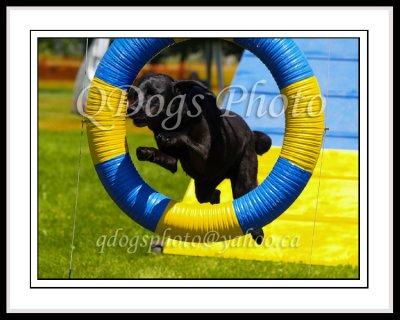 Advance Standard 3 - Finnegan