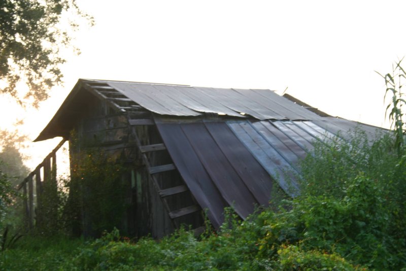 Old barn in Altha, Florida