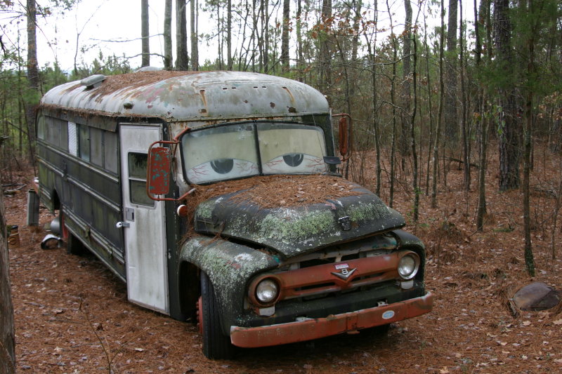 Old Dog Hunting Cabin