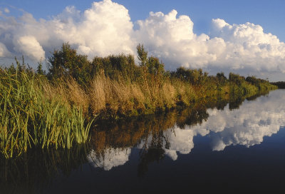 Wormer- en Jisperveld