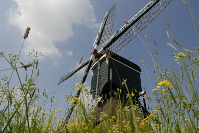 Molen De Bonk