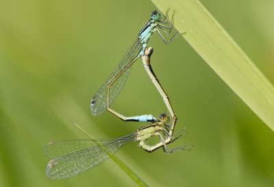 g1/49/747649/3/127435358.UgnvyMtD.jpg
