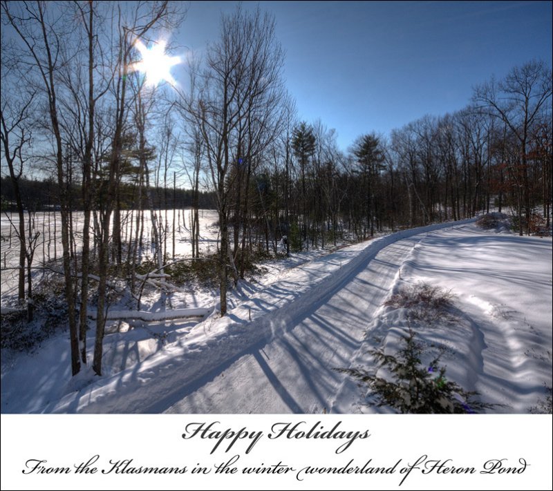 2008 Holiday eCard