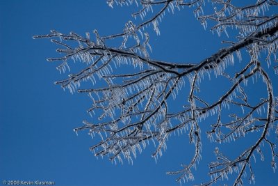 20081212-Heron-Pond-0036.jpg
