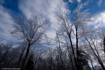 20081212-Heron-Pond-0178.jpg