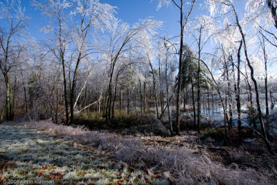 20081212-Heron-Pond-0212.jpg