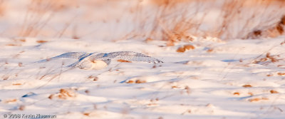 20090109_Milford-NH_0033-Edit.jpg