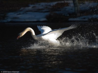 20090324_Nashua-River_0120