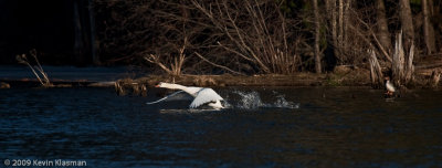 20090324_Nashua-River_0139