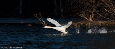 20090324_Nashua-River_0141