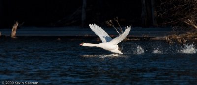 20090324_Nashua-River_0142