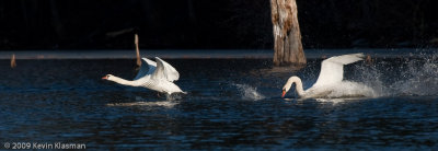20090324_Nashua-River_0145