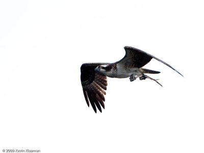 g1/49/749849/3/112329248.yNpFwqP1.jpg