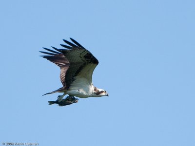 20090530_Nashua-NH_0047